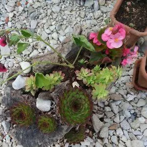 Ena , 286 Holiday home
